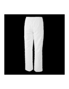 PANT1313