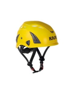 CASCOPLASMAAQ 2