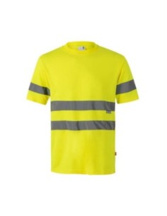CAMIS305505 2