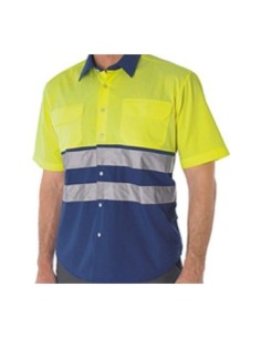 CAMISACITY2