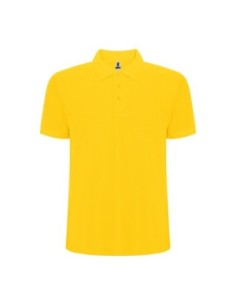 POLOPEGASOP 2
